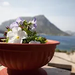 Maria's * Myrties